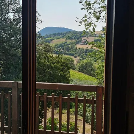 Bed & Breakfast La Miel Ancona