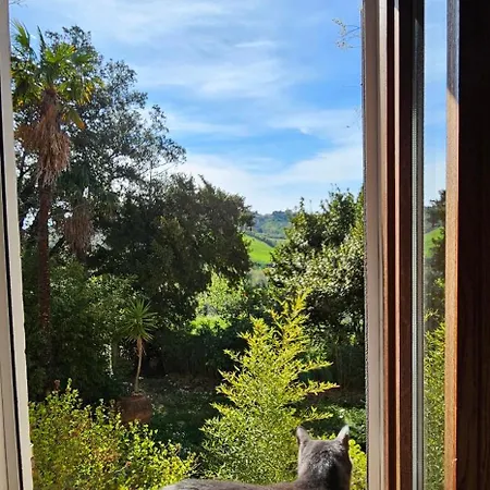 Bed & Breakfast La Miel
